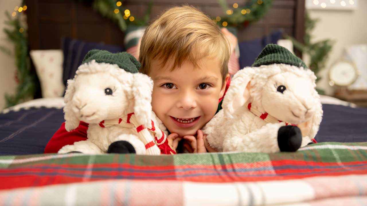 Cuddle with plush lambs