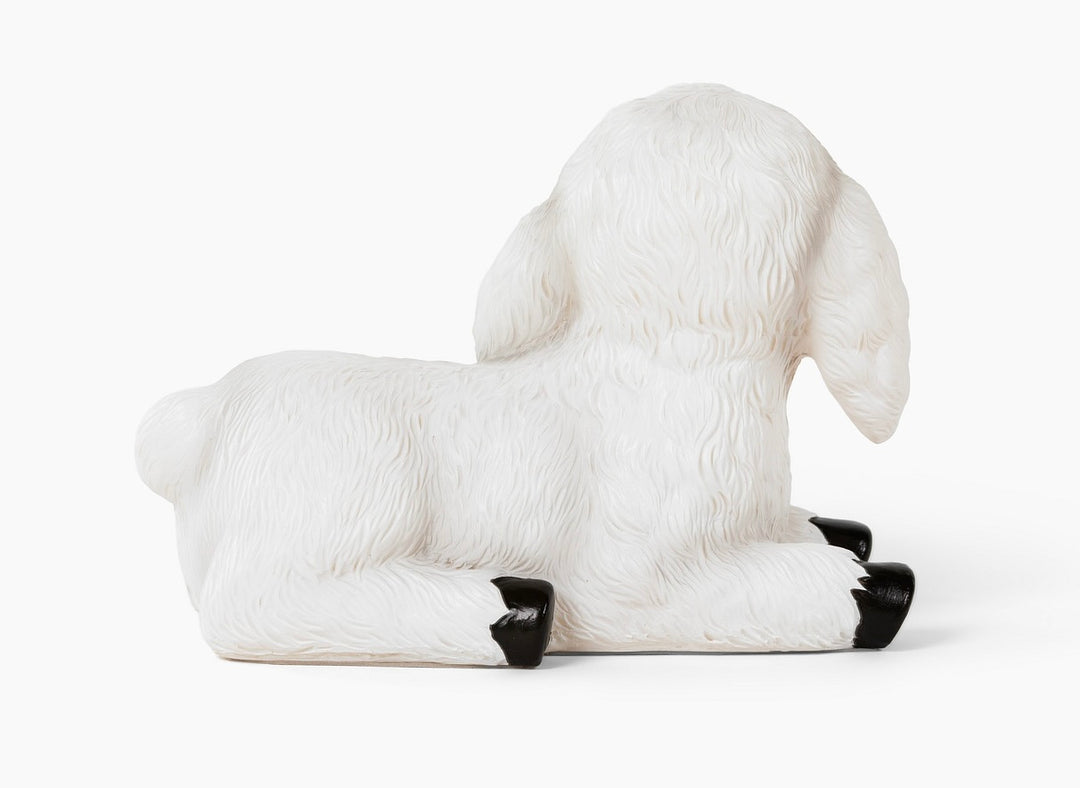 Iam The Lamb® Night Light