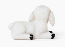 Load image into Gallery viewer, Iam The Lamb® Night Light
